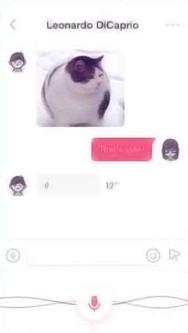 攻击网站的方法